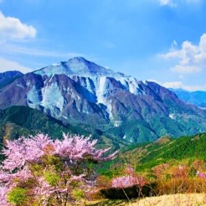 春の武甲山