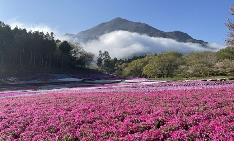 株式会社むさしのGW休業
